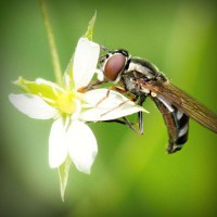 /album/crimilproxfor/photolia-a02-jpg/