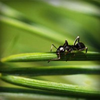 /album/crimilproxfor/photolia-a05-jpg/
