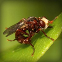 /album/crimilproxfor/photolia-a06-jpg/