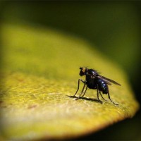 /album/crimilproxfor/photolia-a07-jpg/