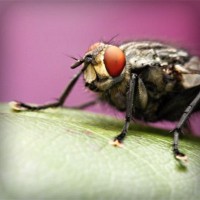 /album/crimilproxfor/photolia-a08-jpg/
